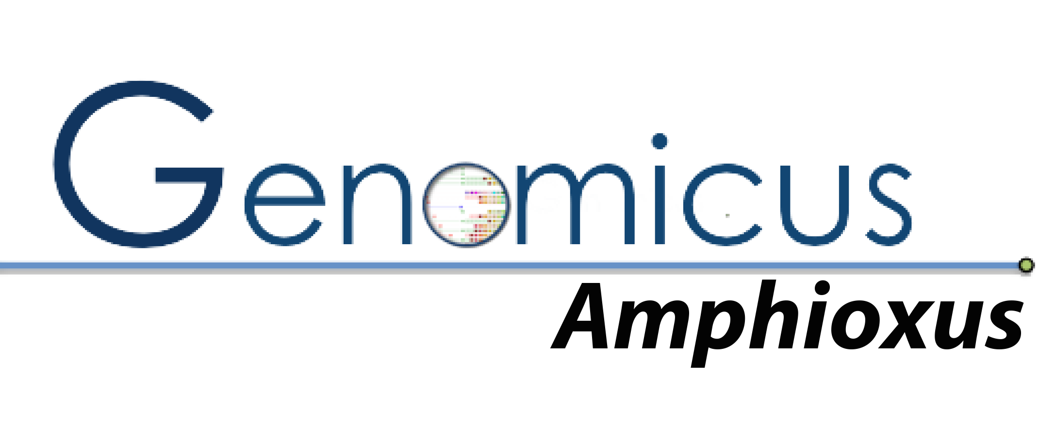 GenomicusAmphioxus