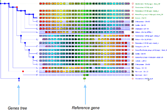 phyloview