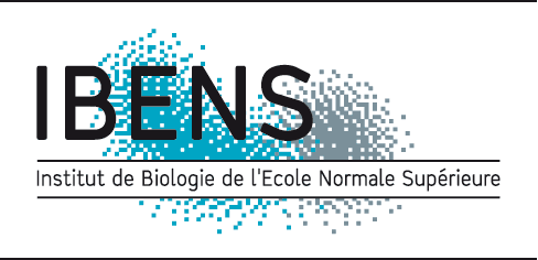 IBENS Logo